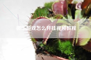 微乐游戏怎么开挂视频教程