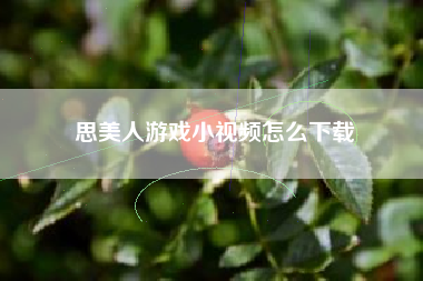思美人游戏小视频怎么下载