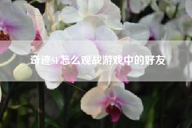 奇迹SF怎么观战游戏中的好友