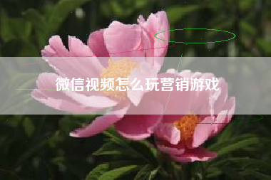 微信视频怎么玩营销游戏