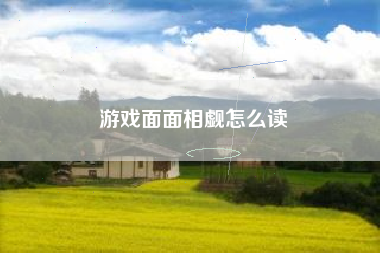 游戏面面相觑怎么读