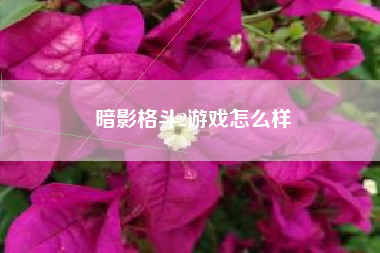 暗影格斗2游戏怎么样
