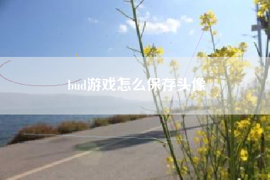 bud游戏怎么保存头像