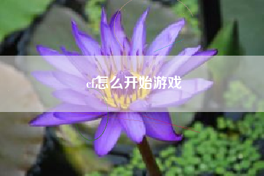 cf怎么开始游戏