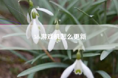 3ds游戏机怎么更新
