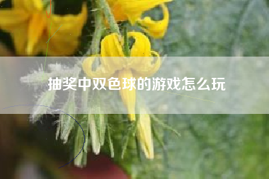 抽奖中双色球的游戏怎么玩