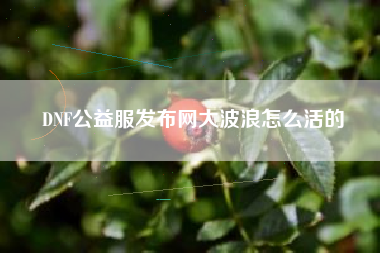 DNF公益服发布网大波浪怎么活的