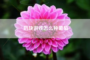 奶块游戏怎么种葡萄