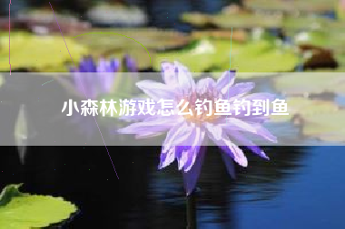 小森林游戏怎么钓鱼钓到鱼