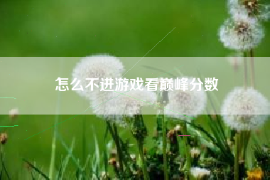 怎么不进游戏看巅峰分数