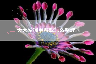 天天爱掼蛋游戏怎么整理牌