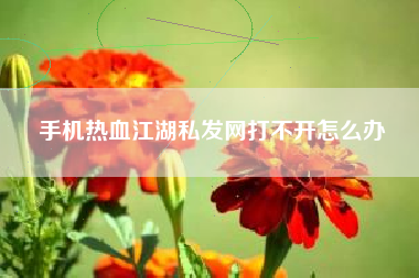 手机热血江湖私发网打不开怎么办