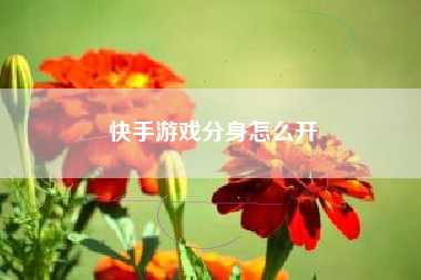 快手游戏分身怎么开
