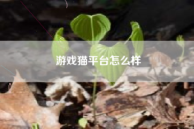 游戏猫平台怎么样