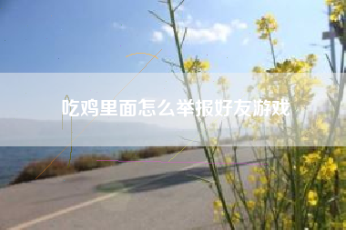 吃鸡里面怎么举报好友游戏