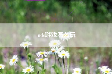 nds游戏怎么玩