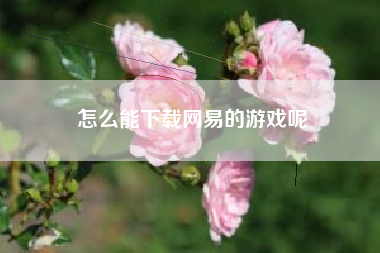 怎么能下载网易的游戏呢