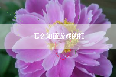 怎么知道游戏的托