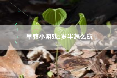 早教小游戏2岁半怎么玩