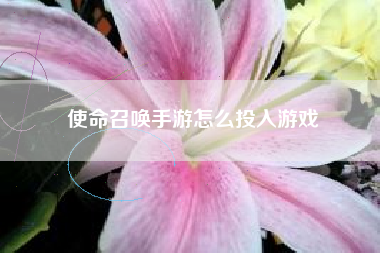 使命召唤手游怎么投入游戏