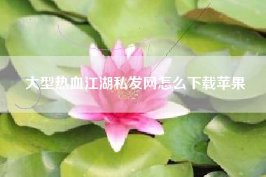 大型热血江湖私发网怎么下载苹果