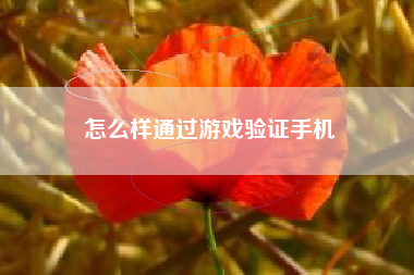 怎么样通过游戏验证手机