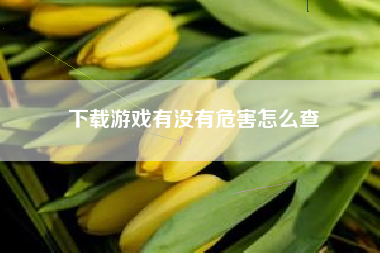 下载游戏有没有危害怎么查