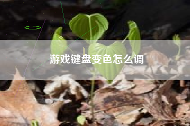 游戏键盘变色怎么调