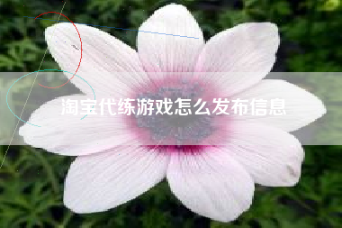 淘宝代练游戏怎么发布信息