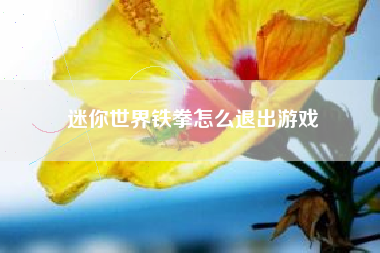迷你世界铁拳怎么退出游戏