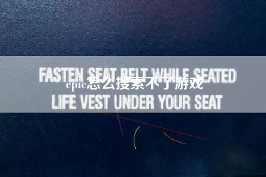 epic怎么搜索不了游戏