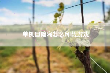 单机冒险岛怎么卸载游戏