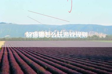 躲猫猫怎么玩游戏规则