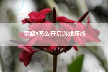 荣耀9怎么开启游戏压感