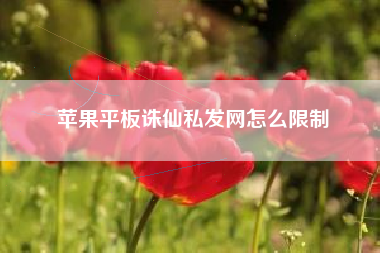 苹果平板诛仙私发网怎么限制