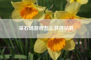 采石场游戏怎么获得钻机