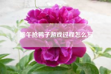 端午抢鸭子游戏过程怎么写