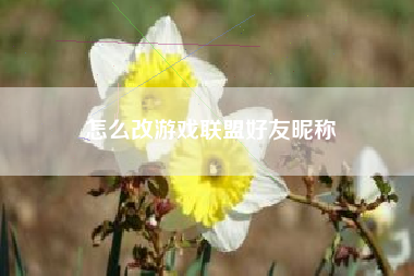 怎么改游戏联盟好友昵称