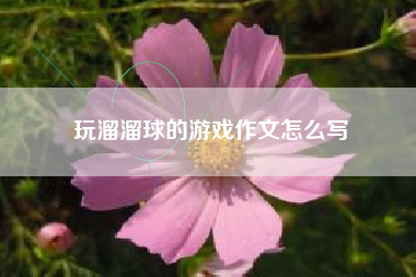 玩溜溜球的游戏作文怎么写
