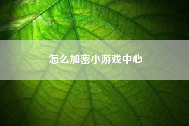 怎么加密小游戏中心