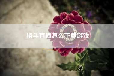 格斗直播怎么下载游戏