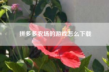 拼多多农场的游戏怎么下载