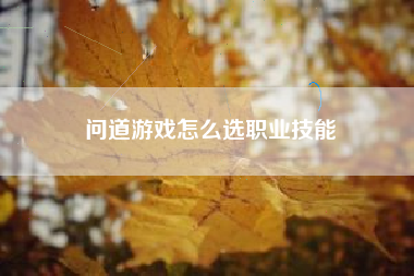 问道游戏怎么选职业技能