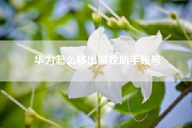 华为怎么移出游戏助手账号