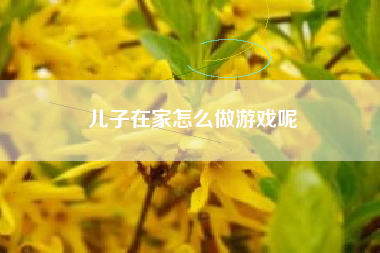 儿子在家怎么做游戏呢