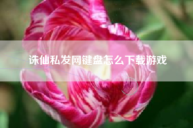 诛仙私发网键盘怎么下载游戏