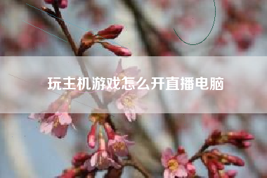 玩主机游戏怎么开直播电脑
