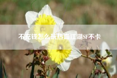 不充钱怎么玩热血江湖SF不卡