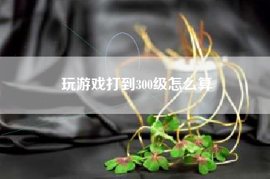 玩游戏打到300级怎么算
