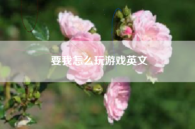 要我怎么玩游戏英文